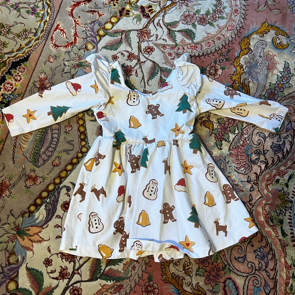 Monica + Andy Holiday Organic Cotton Fit and Flare Dress 12-18 mo